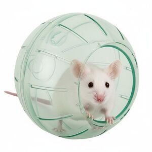 Full Cheeks NIB Small Animal 7" Green Adventure Exercise Ball